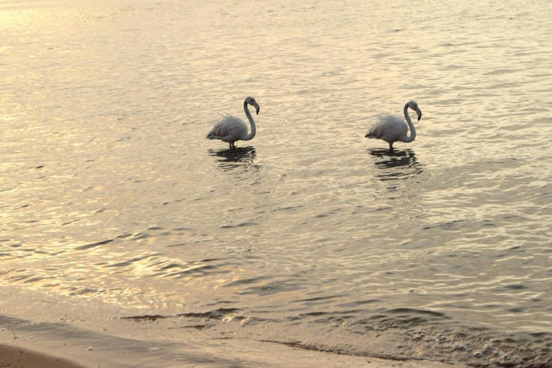 Blue Whale Hotels Walvis Bay Luaran gambar